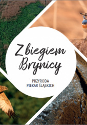 Okładka książki Z biegiem Brynicy Agnieszka Folga,&nbsp;Adam Szczepańczyk,&nbsp;Marcin Szewczyk