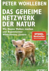 Okładka książki Das geheime Netzwerk der Natur Peter Wohlleben