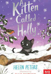 Okładka książki A Kitty Called Holly Helen Peters