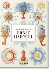 Okładka książki The Art and Science of Ernst Haeckel. 40th Anniversary Edition Ernst Haeckel, Julia Voss, Rainer Willmann