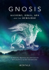 Okładka książki Gnosis: Alchemy, Grail, Ark, and the Demiurge Tom Montalk