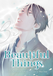 Okładka książki Beautiful Things: The Complete Manga Collection Nao Inui, Narise Konohara
