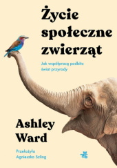 Okładka książki Życie społeczne zwierząt. Jak współpracą podbito świat przyrody Ashley Ward