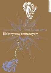 Okładka książki Elektryczny romantyzm. Nauka o elektryczności a literatura i filozofia polska pierwszej połowy XIX wieku Piotr Urbanowicz