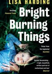 Bright Burning Things