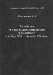 Okładka książki Хозяйство и социальные отношения в Калмыкии в конце XIX — начале XX века: исторический опыт и современность Aleksandr Komandżajew