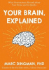 Your Brain, Explained