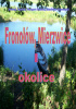 Okładka książki FRONOŁÓW, MIERZWICE I OKOLICE Grzegorz Daniluk