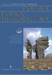 Okładka książki Polska półka historyczna. 100 faktów z historii Polski, które każdy cudzoziemiec znać powinien Agnieszka Tambor