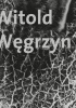Okładka książki Witold Węgrzyn Nieuchwytna materialność Węgrzyn Witold