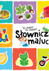 Okładka książki To mam To znam Słowniczek malucha Sylwia Kajdana