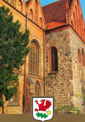 Okładka książki Gryfino : miejski szlak historyczny : przewodnik Marian Anklewicz