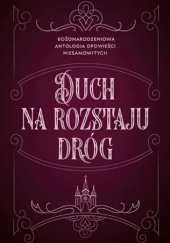 Okładka książki Duch na rozstaju dróg. Bożonarodzeniowa antologia opowieści niesamowitych praca zbiorowa