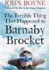 The Terrible Thing That Happened to Barnaby Brocket