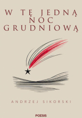 W tę jedną noc grudniową