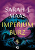 Okładka książki Imperium burz Sarah J. Maas