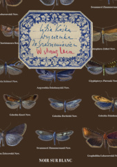 Okładka książki Wycieczka do Szerszeniowiec. W stronę Leca Lidia Kośka