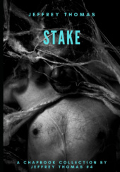 Okładka książki Stake: Three Stories From Punktown Jeffrey Thomas