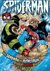 Sensational Spider-Man #26: Identity Crisis: Signs of the Times