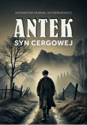 Okładka książki Antek. Syn Cergowej autora Katarzyna Pernal-Wyderkiewicz, 9788397534803