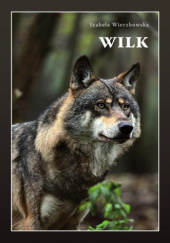 Okładka książki Wilk Izabela Wierzbowska