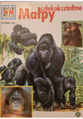 Małpy człekokształtne