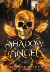 Okładka książki Shadow Angel: Book Three Julie Hall,&nbsp;Leia Stone