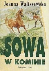 Okładka książki Sowa w kominie Joanna Waliszewska