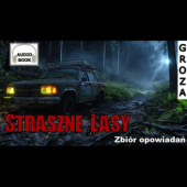 Okładka książki Straszne lasy Bruno Siak