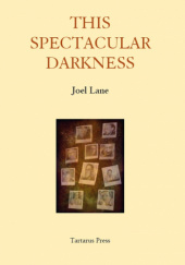 Okładka książki This Spectacular Darkness: Critical Essays Joel Lane
