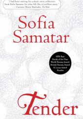 Okładka książki Tender Sofia Samatar