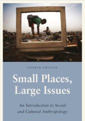 Okładka książki Small Places, Large Issues. An Introduction to Social and Cultural Anthropology Thomas Hylland Eriksen