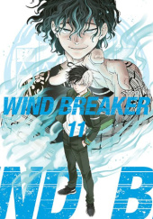 Okładka książki Wind Breaker #11 Satoru Nii