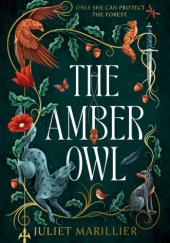 Okładka książki The Amber Owl Juliet Marillier