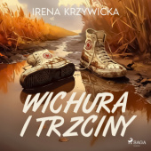 Okładka książki Wichura i trzciny Irena Krzywicka