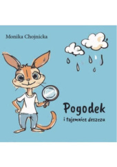 Okładka książki Pogodek i tajemnice deszczu Monika Chojnicka