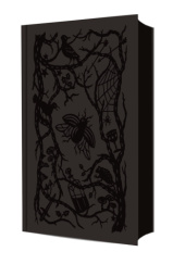 Okrutny książę Holly Black