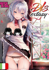 Okładka książki D/S Extasy Michiking