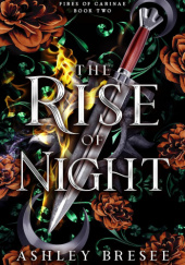 Okładka książki The Rise of Night Ashley Bresee