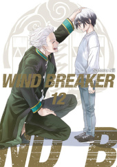 Okładka książki Wind Breaker #12 Satoru Nii