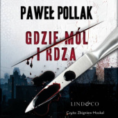 Okładka książki Gdzie mól i rdza Paweł Pollak