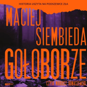 Okładka książki Gołoborze Maciej Siembieda