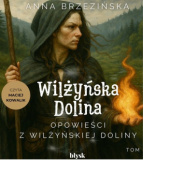 Okładka książki Opowieści z Wilżyńskiej Doliny Anna Brzezińska