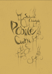 Okładka książki Pobite gary Sylwia Chutnik