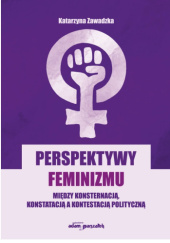Perspektywy feminizmu. Między konsternacją, konstatacją a kontestacją polityczną