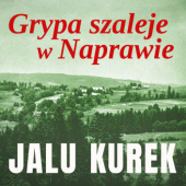 Okładka książki Grypa szaleje w Naprawie Jalu Kurek