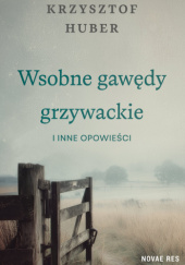 Okładka książki Wsobne gawędy grzywackie i inne opowieści autora Krzysztof Huber, 9788384234075