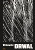 Okładka książki Drwal Michał Witkowski