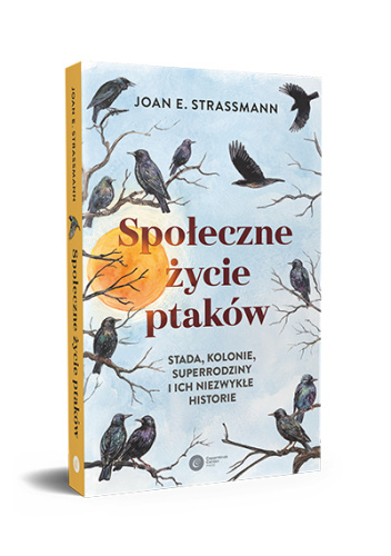 Społeczne życie ptaków