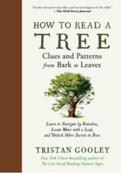 Okładka książki How to Read a Tree: Clues and Patterns from Bark to Leaves Tristan Gooley